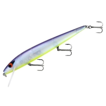 Smithwick Perfect 10 Rogue Jerkbait