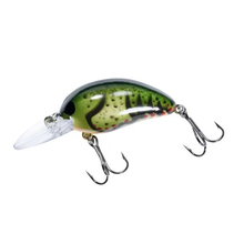 Bomber Next Gen Model 5A Crankbait