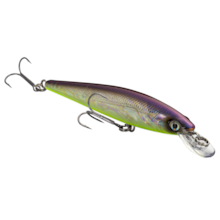 Strike King KVD Jerkbait 100